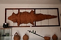 Kanary_2010 169